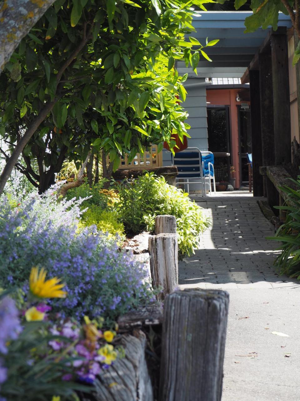 Albergue Tasman Bay Backpackers Nelson Exterior foto